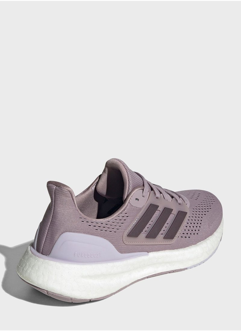 Pureboost 23