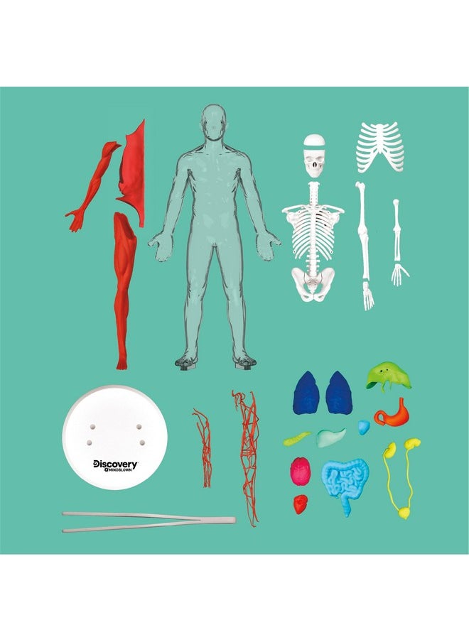 Discovery™ #Mindblown 3D Human Anatomy 28-Piece Biology Model With Glow-In-The-Dark Human Model, Hands On Learning, Age 8+