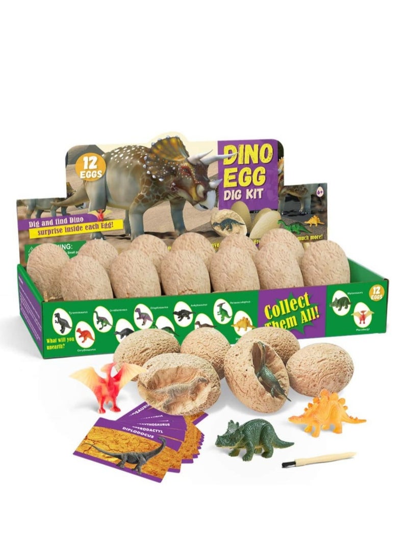 Dinosaur Eggs Dig Kit 12 Pack Discover Different Dinos Archaeology And Paleontology Toy Dino Egg Excavation Stem Toys For Boys Girls Kids Gift, Multiple, Awer23, Children One Size