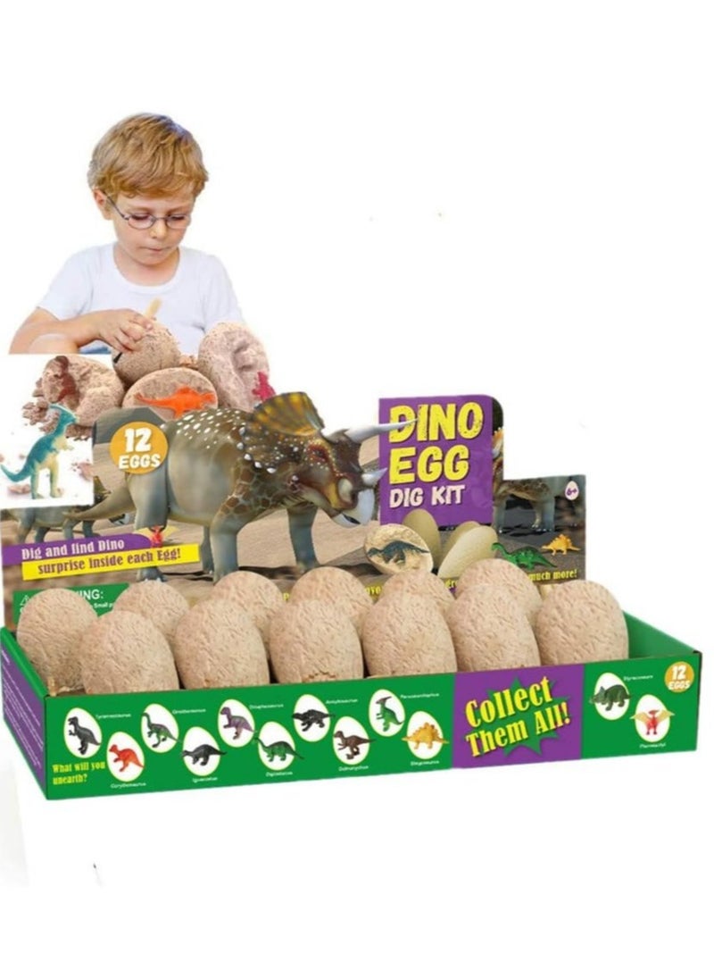 Dinosaur Eggs Dig Kit 12 Pack Discover Different Dinos Archaeology And Paleontology Toy Dino Egg Excavation Stem Toys For Boys Girls Kids Gift, Multiple, Awer23, Children One Size