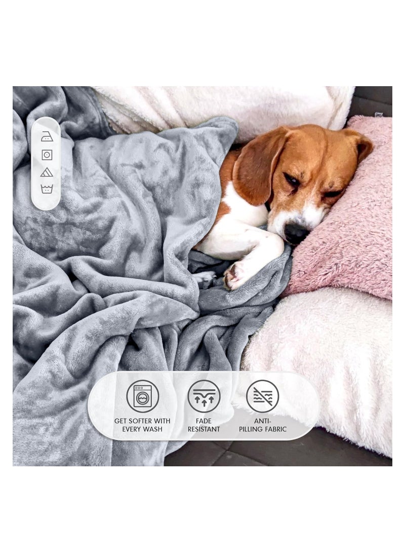 Single Micro Fleece Flannel Blanket - 260 GSM, Super Plush and Comfy Throw Blanket, Size : 150 x 200cm, Grey