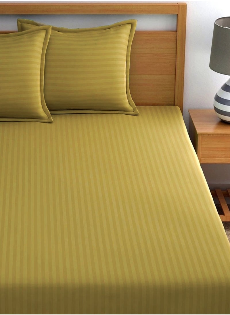2-Set Fitted Bed Sheets +  Pillow Covers, King/Queen/Double/Single Sizes, Color Gold
