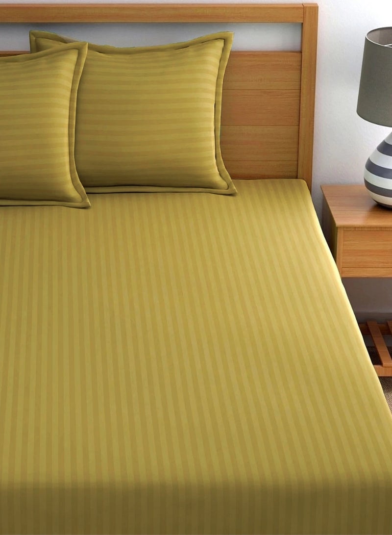 Fitted Bed Sheet +2Pcs Pillow Covers, King/Queen/Double/Single Sizes, Color Gold