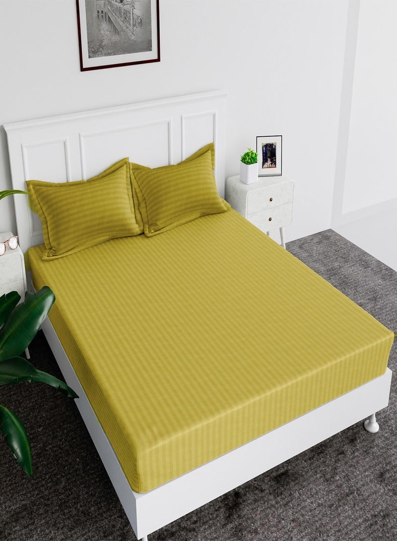 Fitted Bed Sheet +2Pcs Pillow Covers, King/Queen/Double/Single Sizes, Color Gold