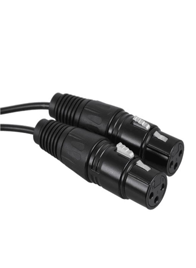 2RCA To 2XLR Speaker Canon Cable Audio Balance Cable, Size: 0.5m(Dual Lotus To Dual Female)