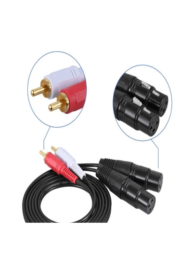 2RCA To 2XLR Speaker Canon Cable Audio Balance Cable, Size: 0.5m(Dual Lotus To Dual Female)