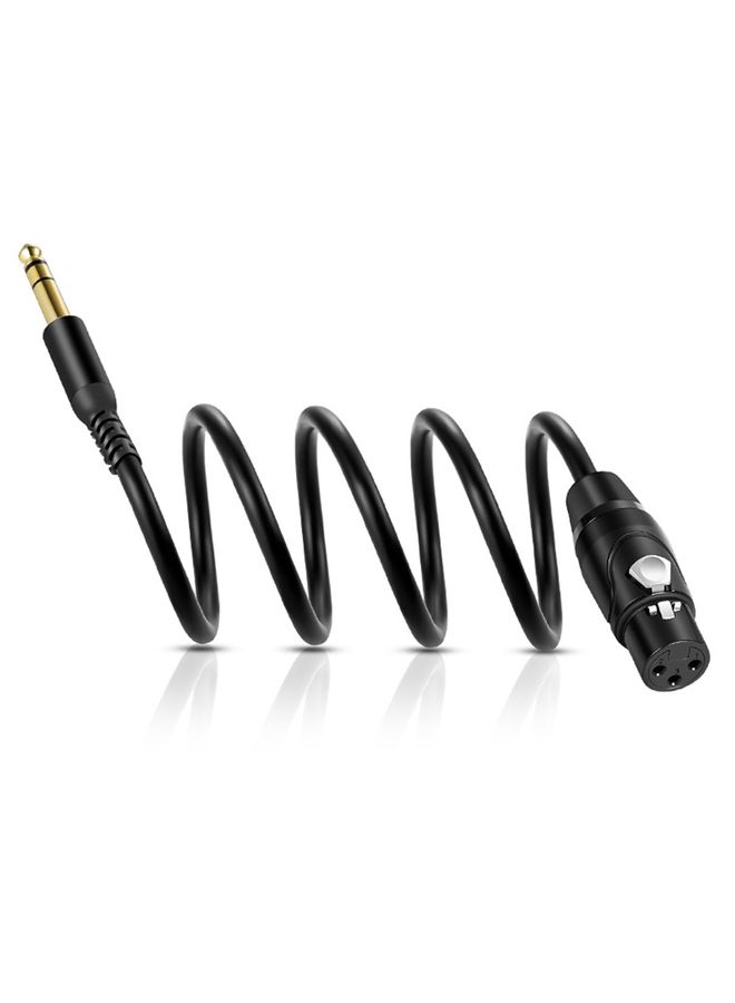 6.35mm to XRL Canon Female Dual Channel Microphone Audio Cable, Length:1m(Black)