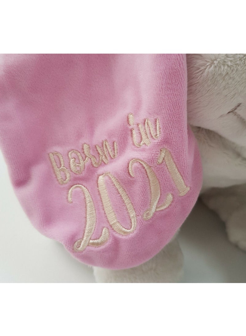 Dumbo Born In 2021 Baby Soft Plush Toy Elephant