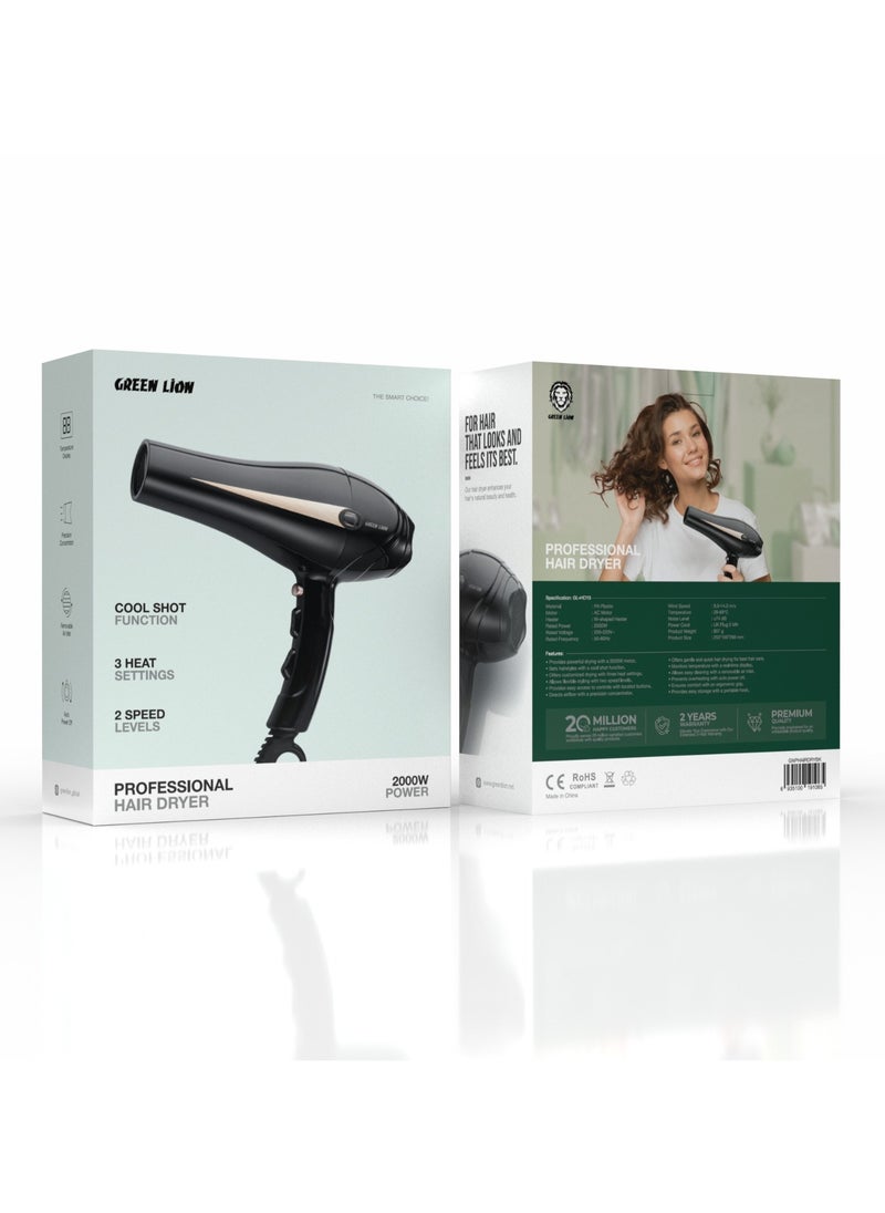 Professional Hair Dryer 2000W / Temperature Display / Removable Air Inlet / Auto Power Off / Powerful Motor / Ergonomic Grip / Gentle & Quick Hair Drying - Black