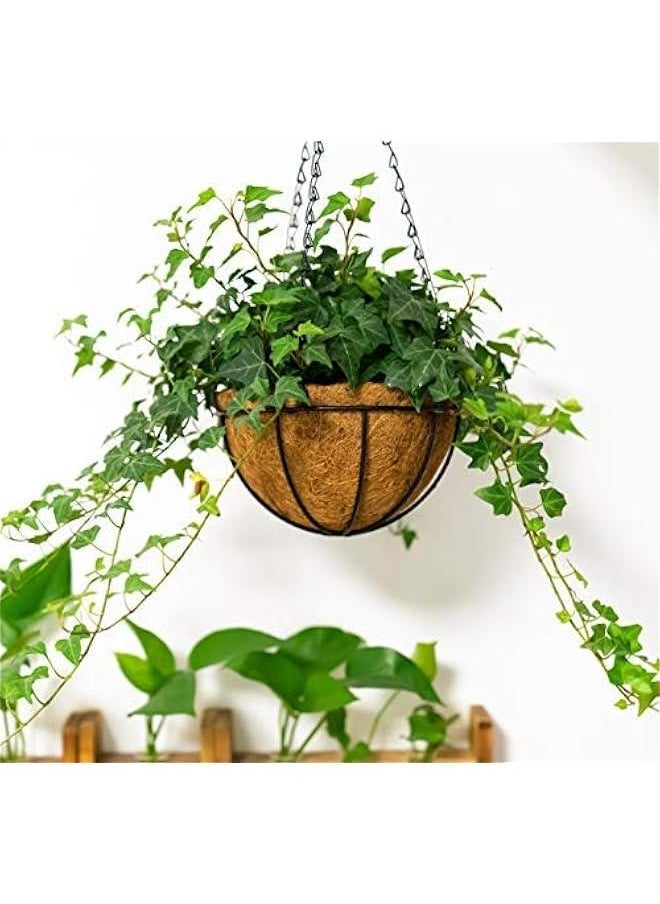 14 Inch Iron Hanging Planter Basket with Coconut Liner Wire Plant Holder Flower Baskets Watering Pot Hanger Garden Balcony Patio Decoration for Indoor Outdoor, 2 Pack