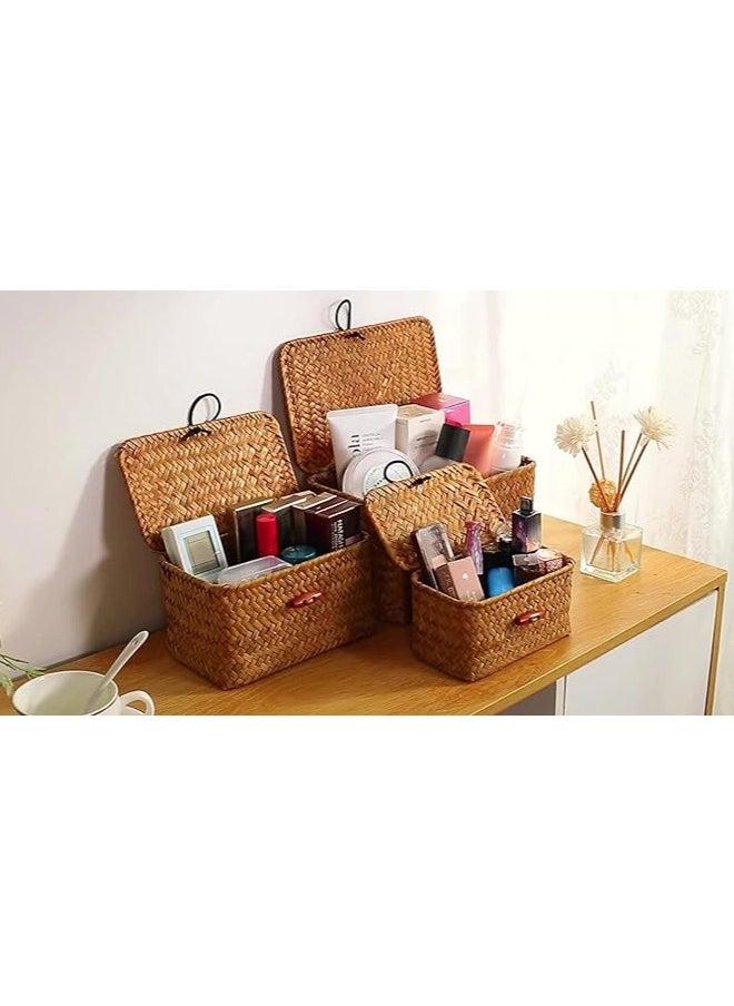 Premium Handwoven Natural Storage Baskets Set of 3