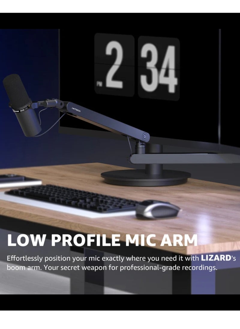 Lizard Boom Arm MI0 Mic Arm Desk Mount, Low Profile 360° Swivel Mic Boom Arm, Adjustable Microphone Arm With Detachable Rise Column And Built-In Cable Management Microphone Stand For Streaming And Recording Mic Stand