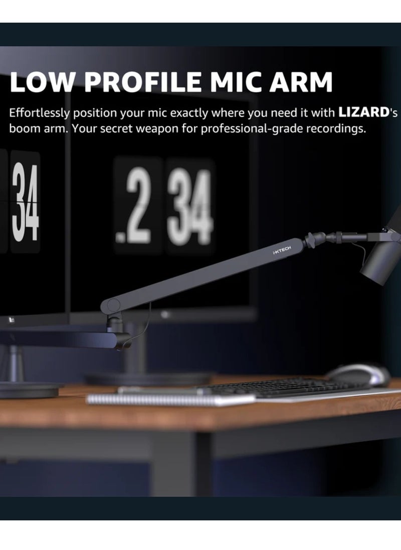 Lizard Boom Arm MI0 Mic Arm Desk Mount, Low Profile 360° Swivel Mic Boom Arm, Adjustable Microphone Arm With Detachable Rise Column And Built-In Cable Management Microphone Stand For Streaming And Recording Mic Stand