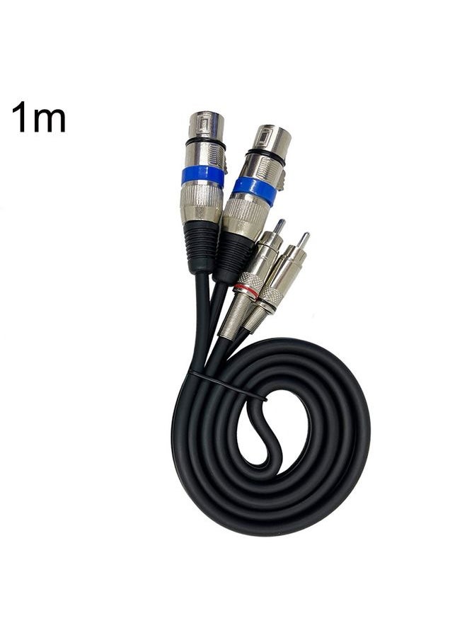 2RCA Male 2XLR Caron Female Speaker Audio Balance Cable, Length:0.5m