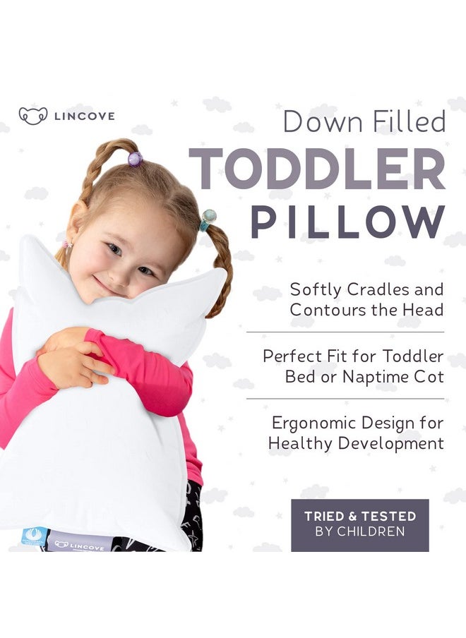 Canadian Down Toddler Pillow For Sleeping Perfect For Kids Travel Pillow Nap Time Toddler Cot Crib Bed 800 Fill Power 100% Cotton Shell 400 Thread Count (13 X 18)