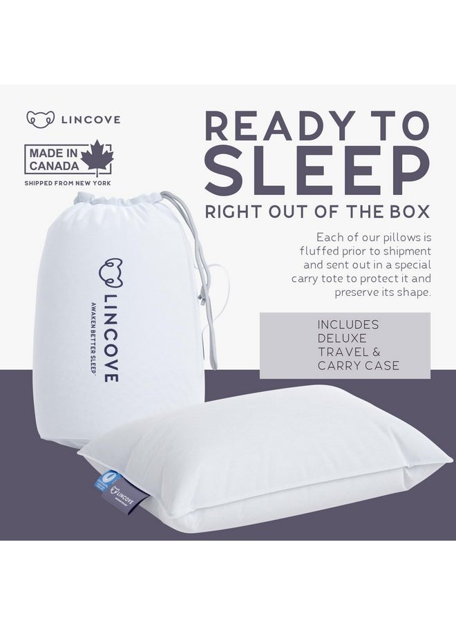 Canadian Down Toddler Pillow For Sleeping Perfect For Kids Travel Pillow Nap Time Toddler Cot Crib Bed 800 Fill Power 100% Cotton Shell 400 Thread Count (13 X 18)