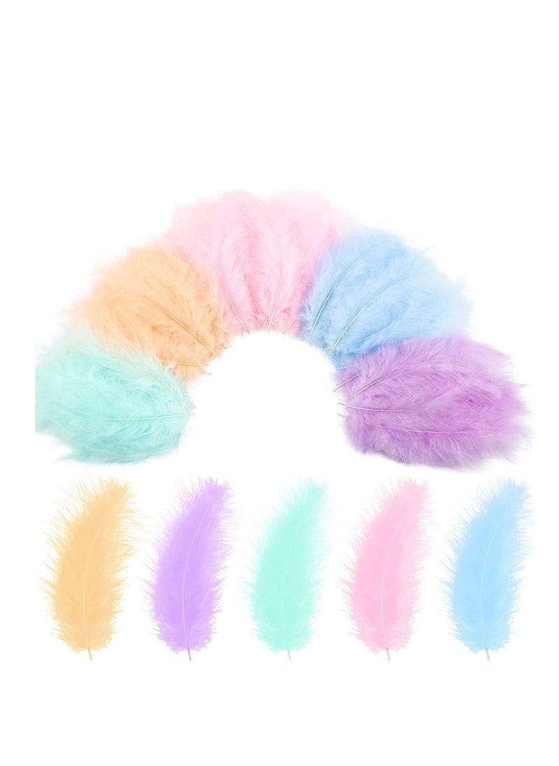 300 Pcs Colorful Feathers for Craft DIY Assorted Native Crafts for Carnival Mardi Gras Party Costume Feather Mask Wind Bell Hat Jewelry Cloths Bag Earring Accessories