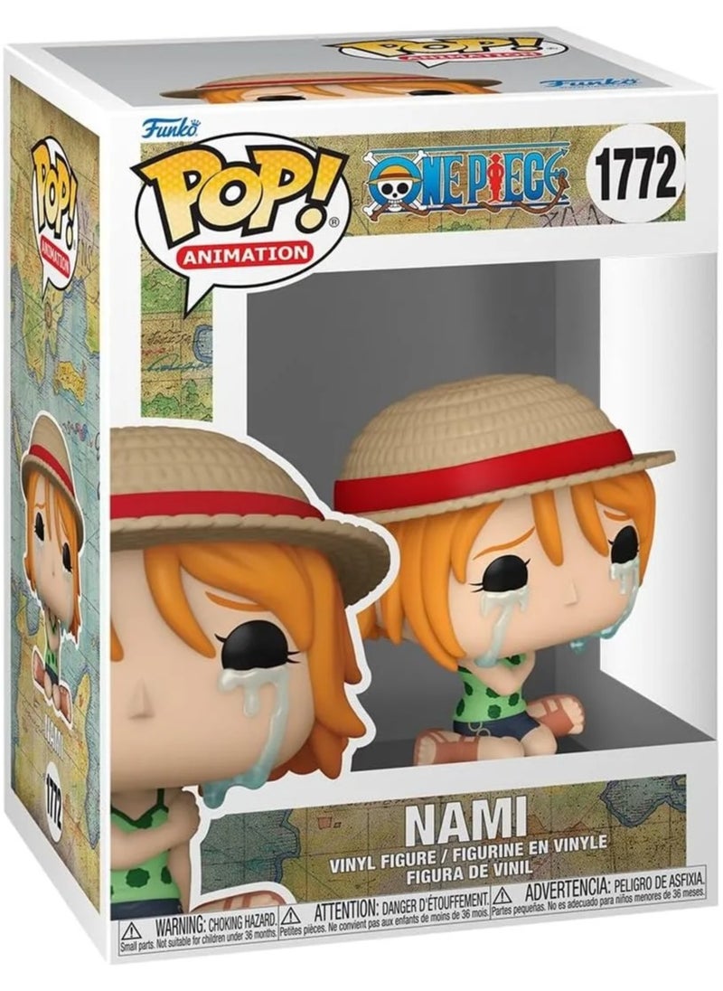 Nami (Crying)