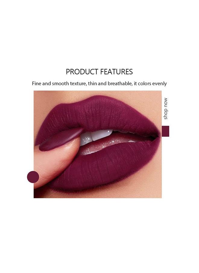 5 Colors In 1 Velvet Matte Lipstick, Long Lasting Waterproof Lipstick Smooth Soft Lips Gloss, High-Pigment, Non-Faded, Cosmetics Makeup Gift for Women Teen Girls Daily/Travel/Party/Work (B)