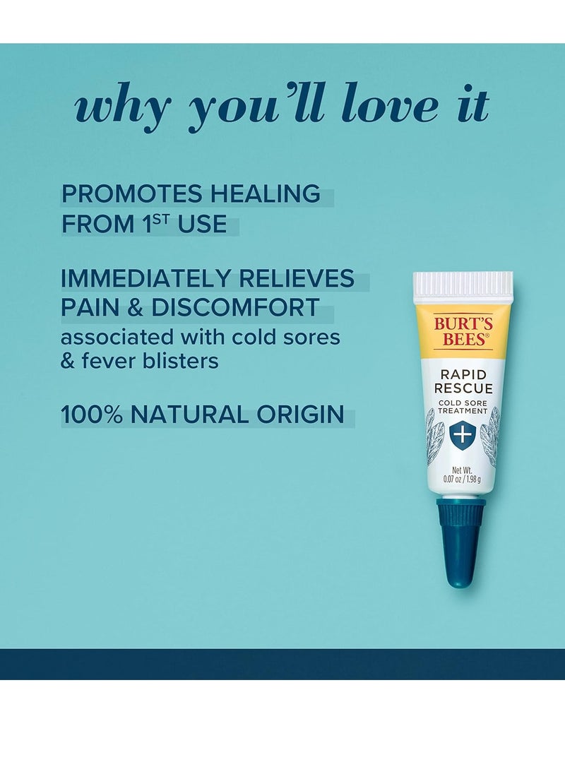 Burt's Bees Stocking Stuffers, Cold Sore Treatment and Medicated Lip Balm, College Back to School Dorm Essentials, With Menthol and Eucalyptus Oil, Natural Origin Skincare, 2 Tubes, 0.07 oz./0.15 oz.