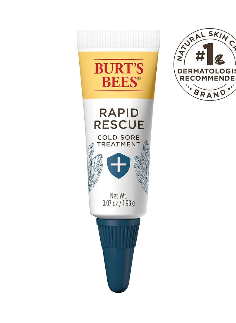 Burt's Bees Stocking Stuffers, Cold Sore Treatment and Medicated Lip Balm, College Back to School Dorm Essentials, With Menthol and Eucalyptus Oil, Natural Origin Skincare, 2 Tubes, 0.07 oz./0.15 oz.