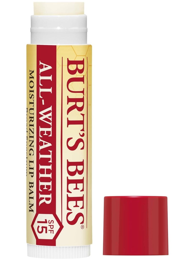 Burt's Bees Lip Balm Stocking Stuffers, Moisturizing SPF 15 Lip Care Christmas Gifts, for All Day Hydration, Water Resistant, All-Weather, Natural Origin Treatment with Sunscreen (2-Pack)