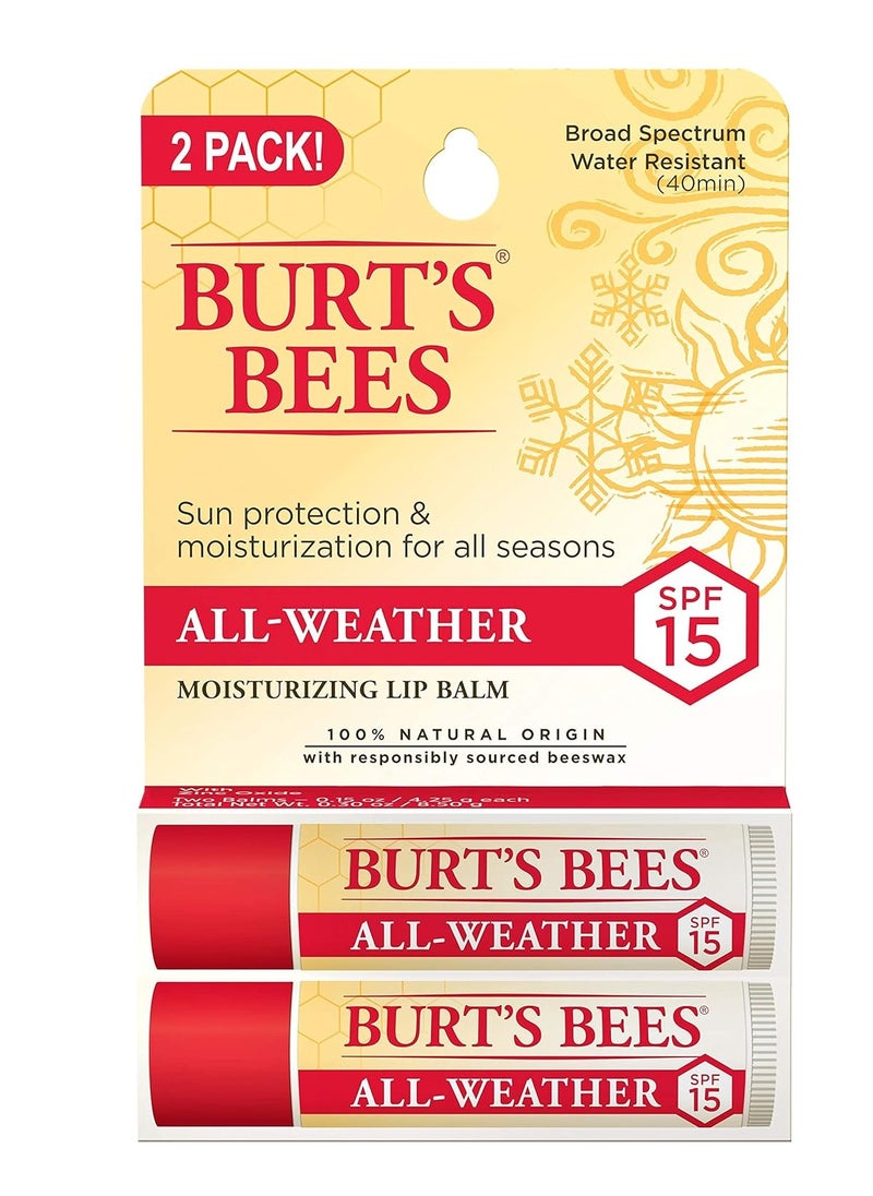 Burt's Bees Lip Balm Stocking Stuffers, Moisturizing SPF 15 Lip Care Christmas Gifts, for All Day Hydration, Water Resistant, All-Weather, Natural Origin Treatment with Sunscreen (2-Pack)