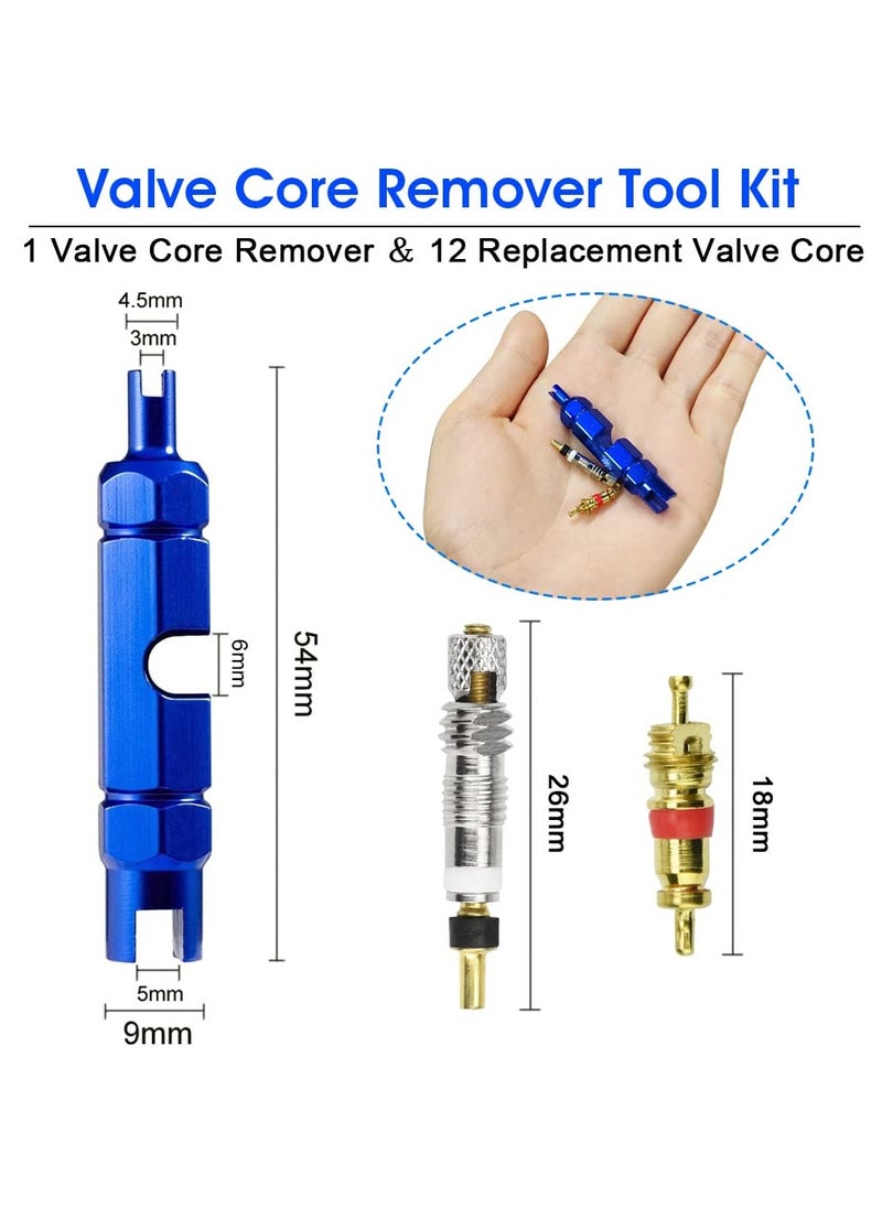 SYOSI 13Pcs Valve Core Remover Tool Kit Bike and Car Valve Core Repair Tool with Brass Replacement Presta and Schrader Valve Core Bike Bicycle Core Repair Tool For Universal Road Bike Car