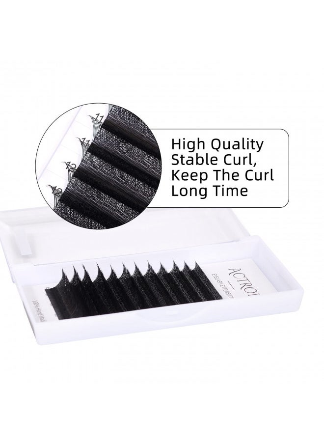 W Eyelash Extensions 3D Volume 0.07D Curl 8-15mm Easy Fan W-shaped Lash Premades Cluster Black W Lash