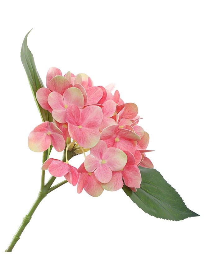 3D Simulation Flower Pink