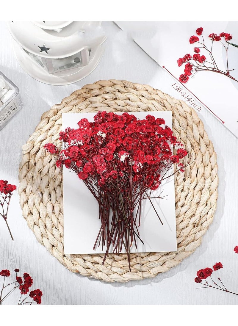 Mini Dried Baby's Breath Flowers, 60 Pcs Dried Pressed Flowers 1.97-3.15 Inch Mini Natural Branches Bouquet for Wedding DIY Card Home Party Decor Vase Table Craft Decor