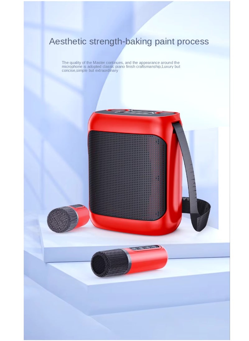 YS-220 Outdoor Karaoke Speaker Big Strap Speaker With Dual UHF Wireless Microphone