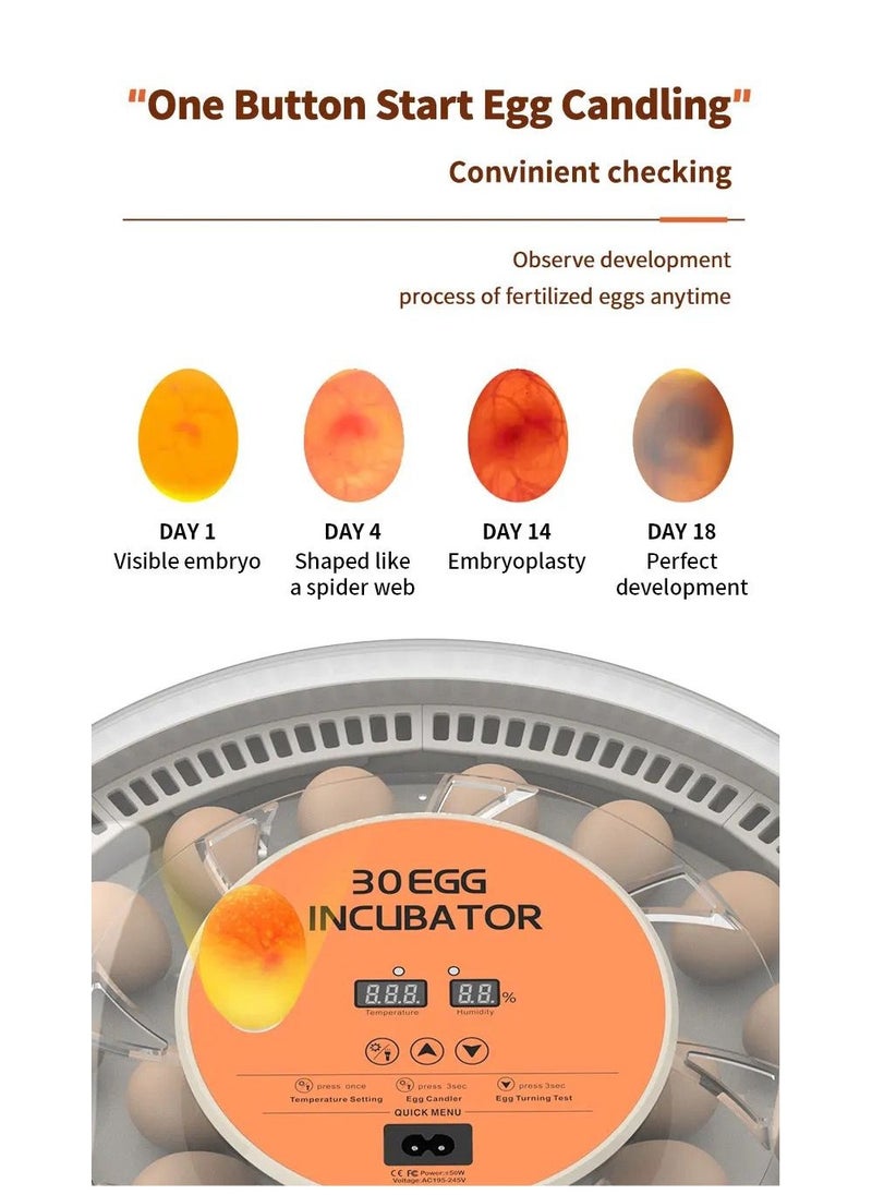 30 chicken egg Incubator,Automatic egg turning and temperature control incubator with egg testing Function- (30H)