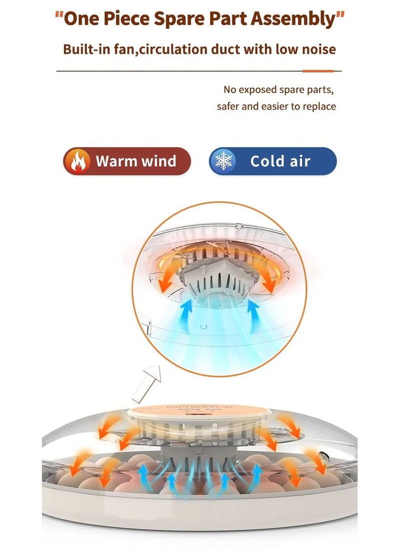 30 chicken egg Incubator,Automatic egg turning and temperature control incubator with egg testing Function- (30H)