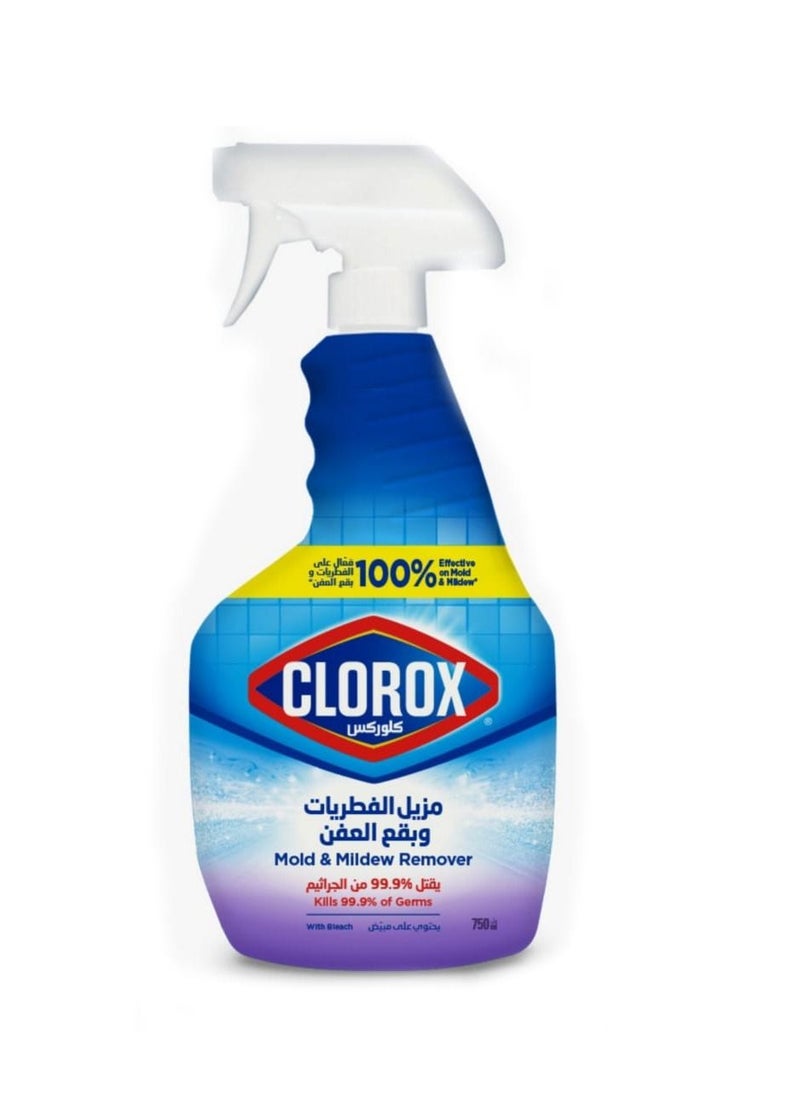 Clorox Mold & Mildew Bleach Remover Spray, Kills 99.9% Germs And VirUSes, 750Ml