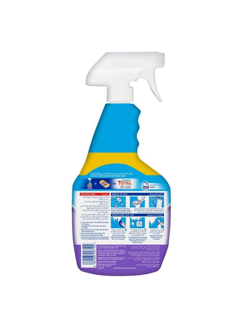 Clorox Mold & Mildew Bleach Remover Spray, Kills 99.9% Germs And VirUSes, 750Ml