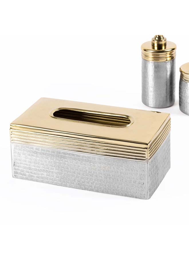 Nile Tissue Box, Silver & Gold - 25x10 cm