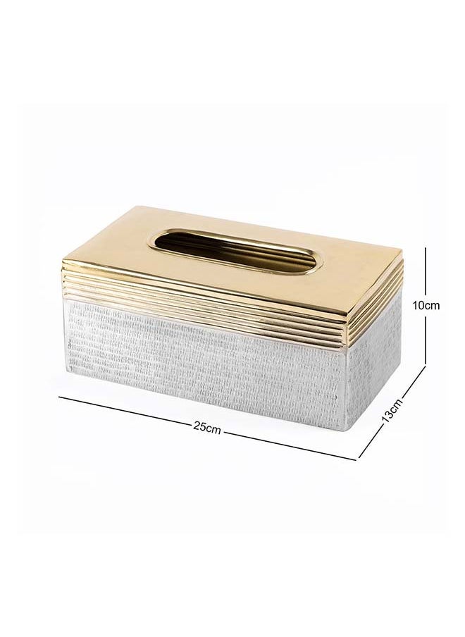 Nile Tissue Box, Silver & Gold - 25x10 cm