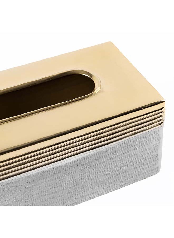 Nile Tissue Box, Silver & Gold - 25x10 cm