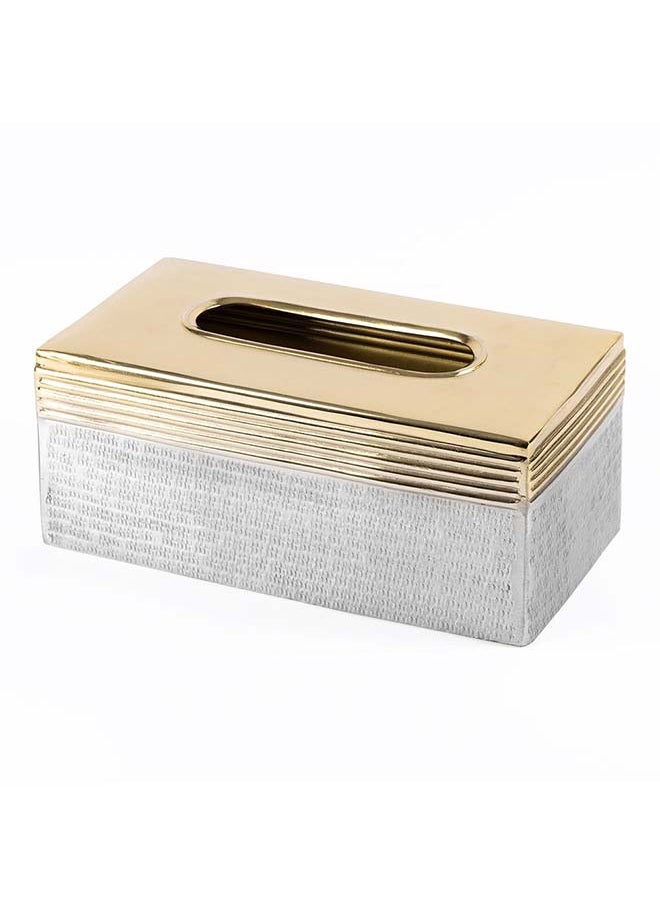 Nile Tissue Box, Silver & Gold - 25x10 cm