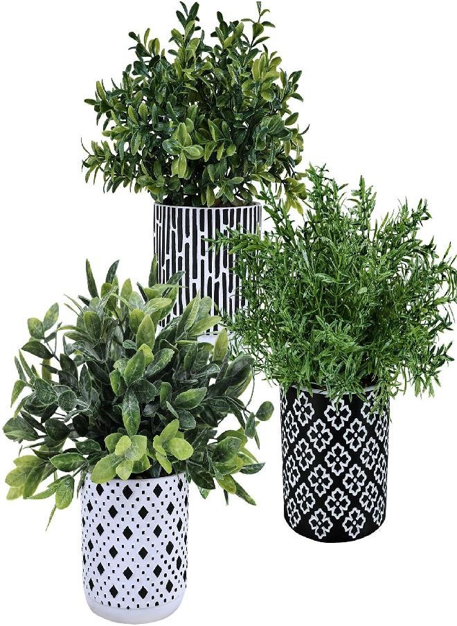 Winlyn 3-Pack Artificial Potted Plants - Faux Eucalyptus, Rosemary, Boxwood Greenery in Small Black & White Geometric Concrete Pots -Desk, Table, Shelf, Windowsill Decor for Indoor Outdoor Home Office