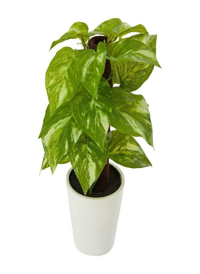 9in. Pothos Artificial Plant in White Planter (Real Touch)