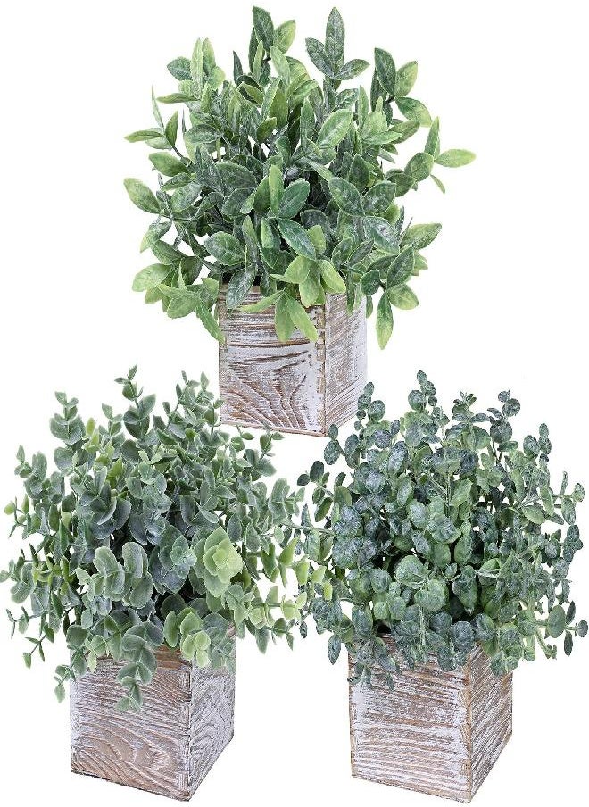 Winlyn Set of 3 Small Potted Plants Artificial Eucalyptus in Wood Box Faux Eucalyptus in Pots Desk Plants Greenery Centerpiece Table Decorations for Farmhouse Kitchen Windowsill Shelf Entryway Decor