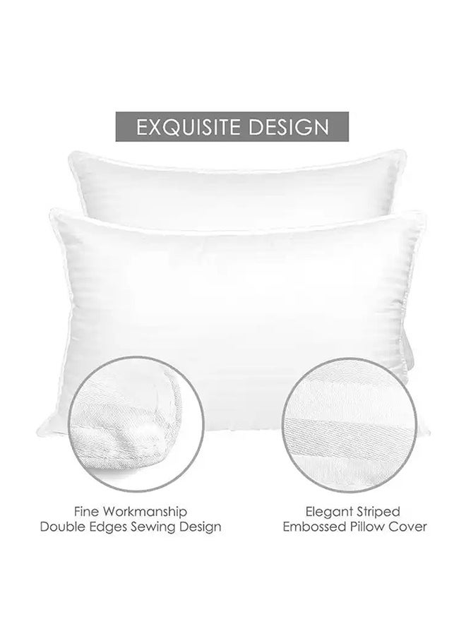 Cushion Pillow Insert Filling 2Pcs Set - 65 GSM