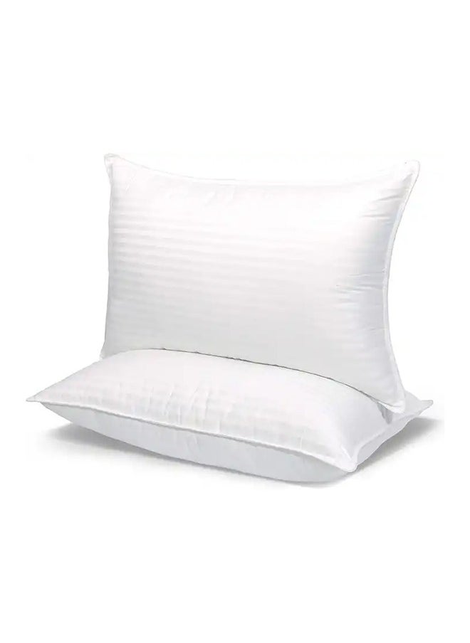 Cushion Pillow Insert Filling 2Pcs Set - 65 GSM