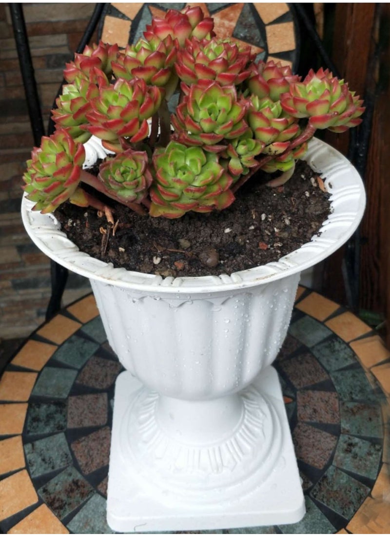 𝐅𝐅𝐃 Flower Vase Plastic Pots Outdoor Plant Pots Plastic Flower Pots Planter Pots Plastic Gardening Pots Nursery Pot Flower Plant Container Plastic Plant Pot