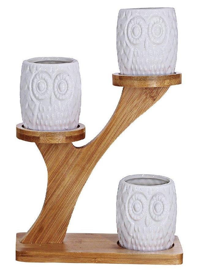 3pcs Owl Succulent Pots with 3 Tier Bamboo Saucers Stand Holder - White Modern Decorative Ceramic Flower Planter Plant Pot with Drainage - Home Office Desk Garden Mini Cactus Pot Indoor Decoration