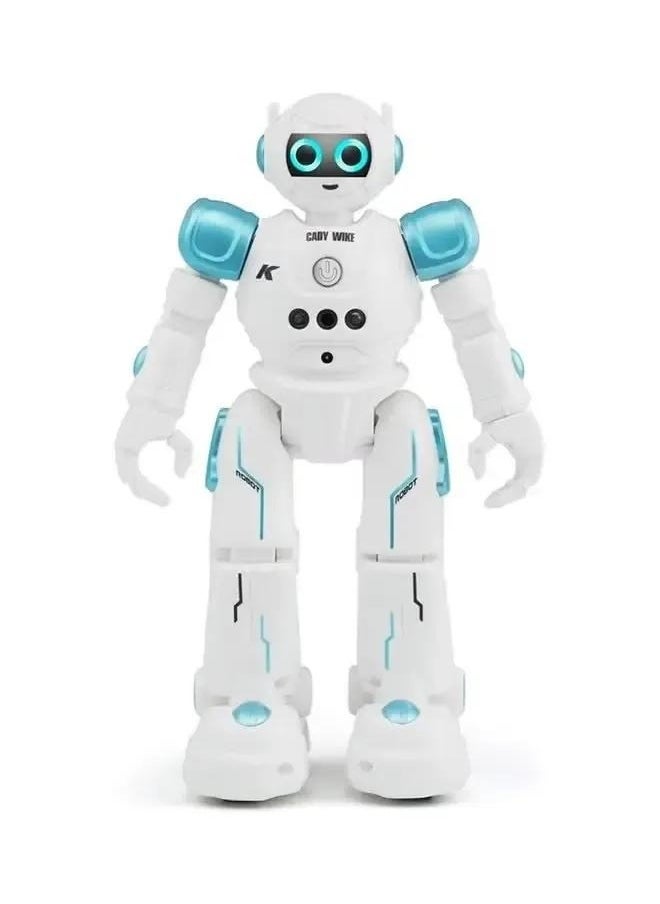 Robot Toys for Kids - Smart Talking Voice Remote Control Robot, Gesture Sensing Programmable Emo Robot，Remote Control Programmable Gesture Sensor Music Dance RC Toy for Kids