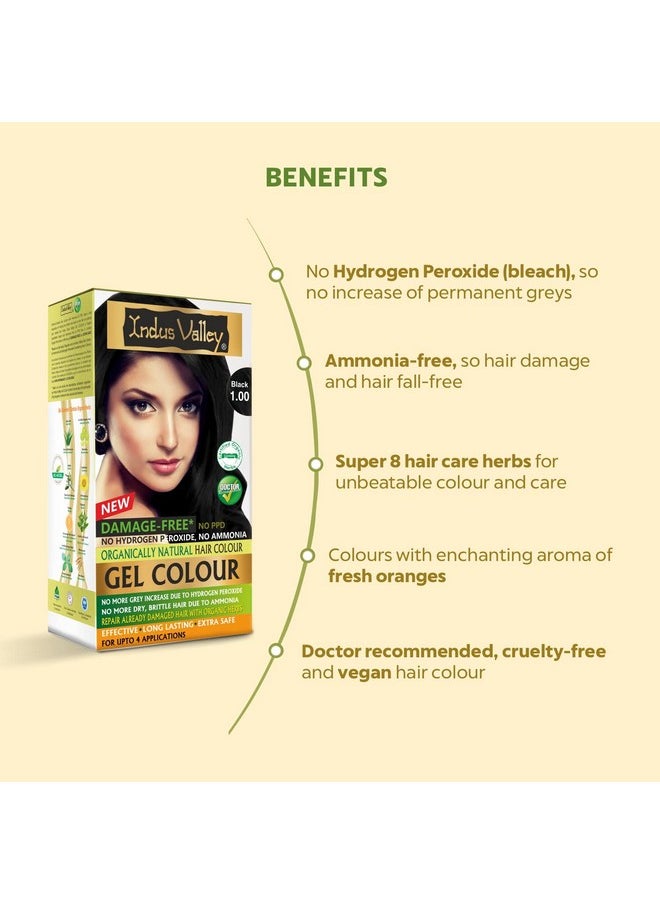 Damage Free Natural Gel Hair Colour For Women | Ammonia & Ppd Free Organic Hair Colour With 100% Grey Coverage, Long Lasting Conditioning Hair Color | Black 1.00-220 Ml