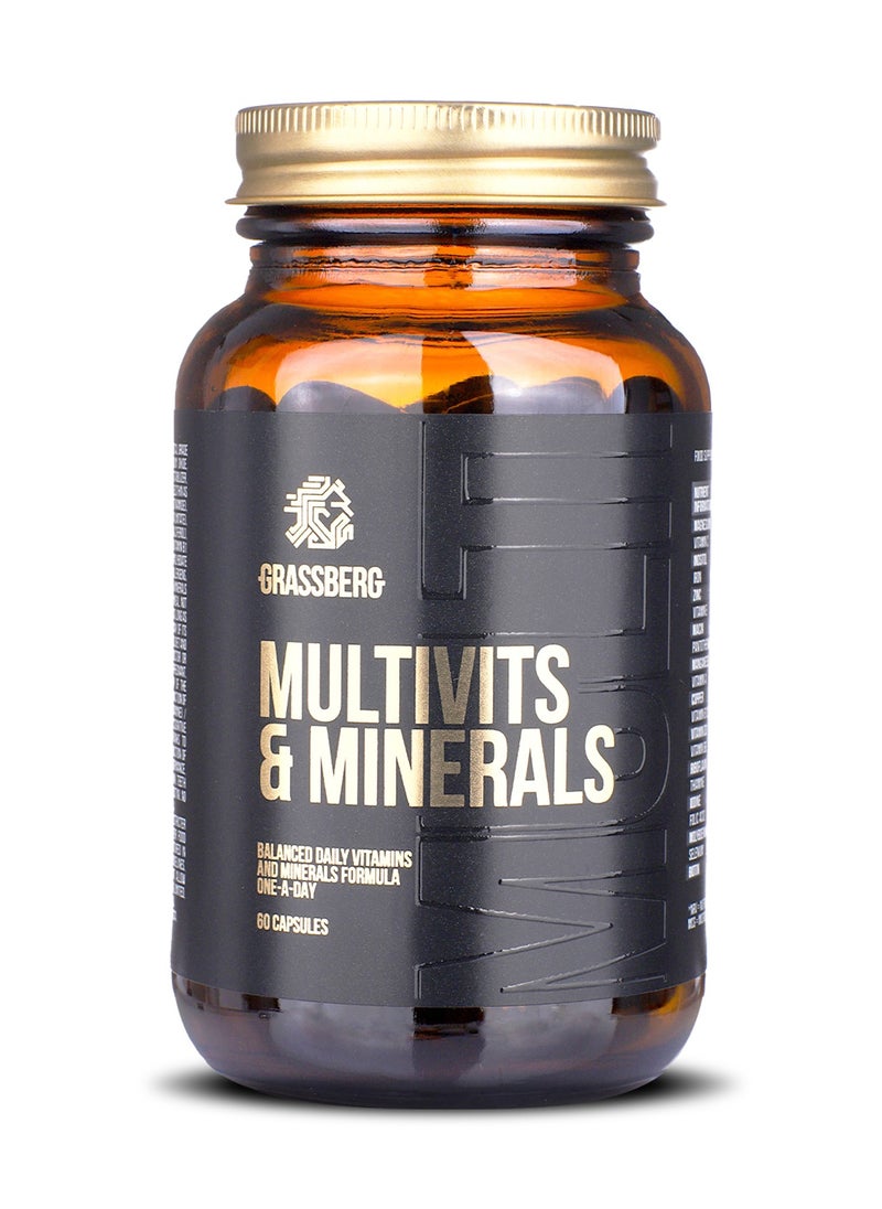 Multivits and Minerals, Multivitamin for Men and Women with Vitamin A, B6, B12, C, D3, E, Biotin, Calcium, Iron, Magnesium, Zinc, and 10 more nutrients - 60 Softgels